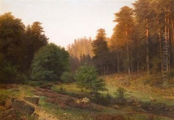 Aus Dem Preusischen Oberland - Abendsonne (im Hochwalde) Oil Painting by Emil Zschimmer