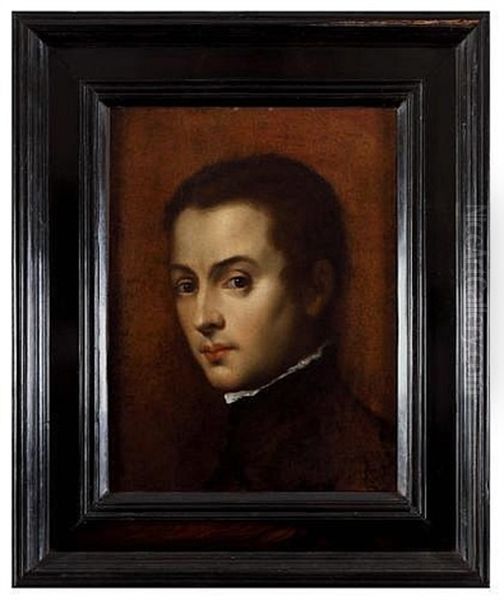 Portrait Of A Young Boy Oil Painting by Federico Zuccaro