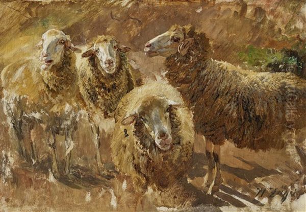 Sheep Studies Oil Painting by Heinrich von Zuegel