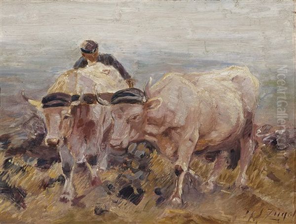 Shepherd With Two Oxen On The Plough by Heinrich von Zuegel