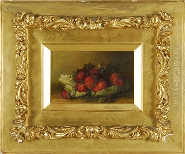 Still Life Of Strawberries On A Bed Of Lettuce Oil Painting by Abbie Luella Zuill