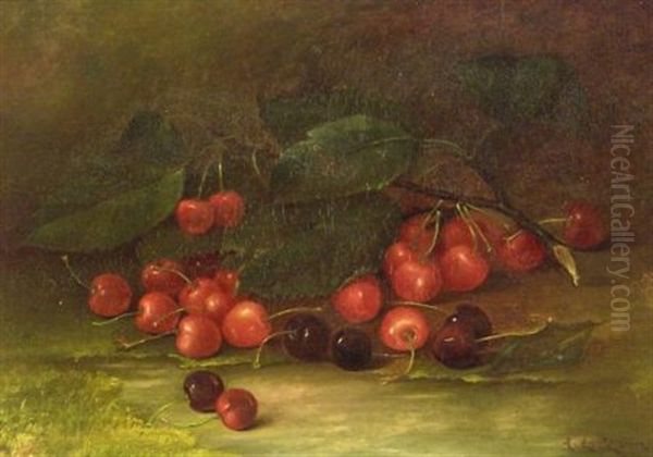 Still Life With Cherries Oil Painting by Abbie Luella Zuill