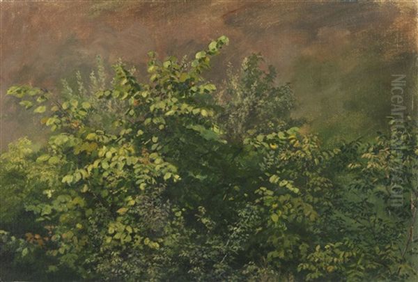 Strauchstudie Oil Painting by Robert Zuend