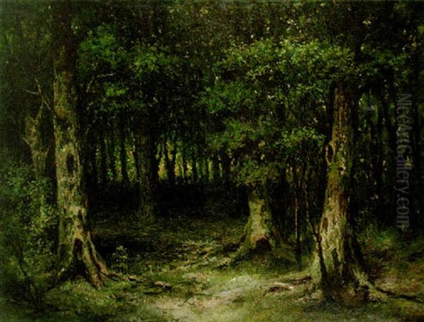 Deep Forest Oil Painting by Frederik Willem Zurcher