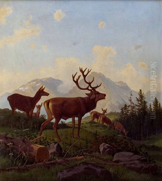 Hirsch Und Rotwild Auf Lichtung Vor Alpen Oil Painting by Josef Zuernich