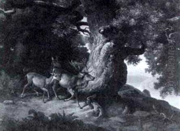 Deer In A Glade Oil Painting by Johann-Baptist Zwecker