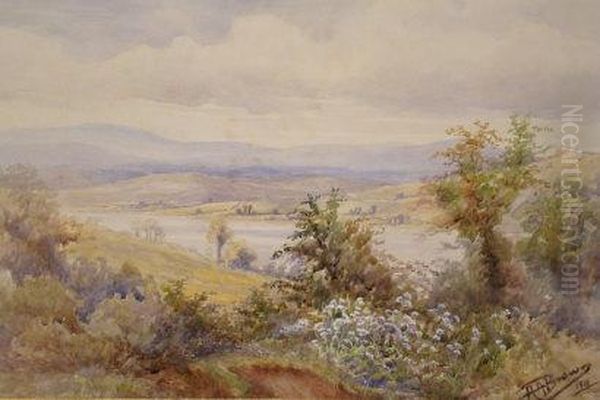 Dartmoor From Shaldon Oil Painting by Henry Harris Brown