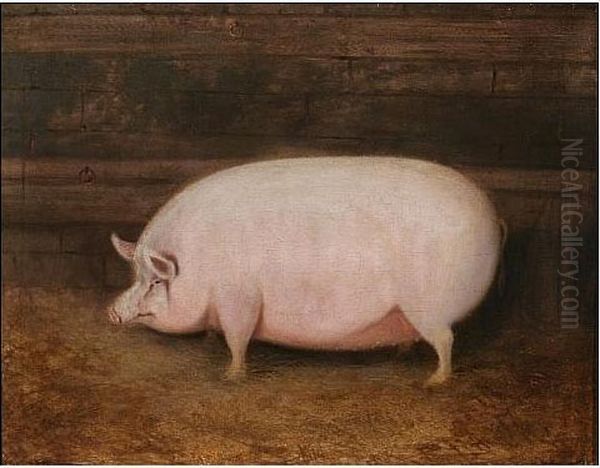 Pig In A Barn Interior Oil Painting by E. Brown