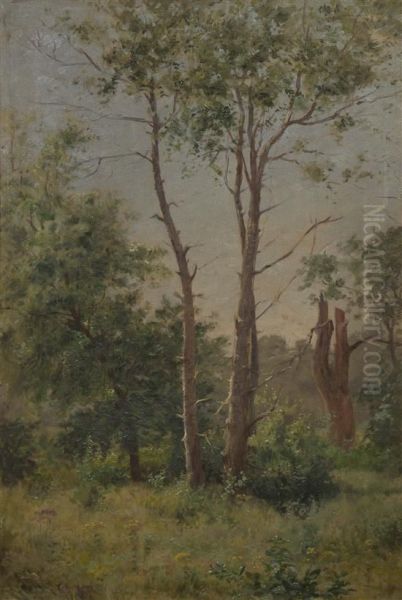 Stand Of Trees Oil Painting by Charles Francis Browne