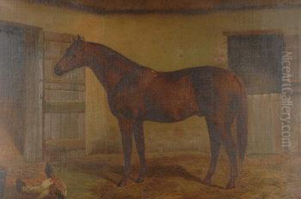 Red Prince Ii, Study Of A Racehorse In A Stable Yard With Chickens Oil Painting by Nassau Blair Browne