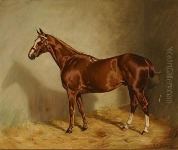 Wynard Oil Painting by Nassau Blair Browne