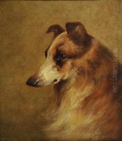 A Collie's Head Oil Painting by Brownlow North