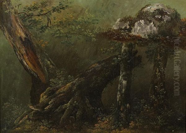 Etude D'arbre. Oil Painting by Louis-Auguste Brun