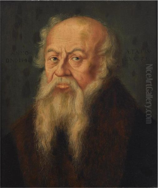 A Portrait Of A Bearded Old Man Oil Painting by Bartholomaeus I Bruyn