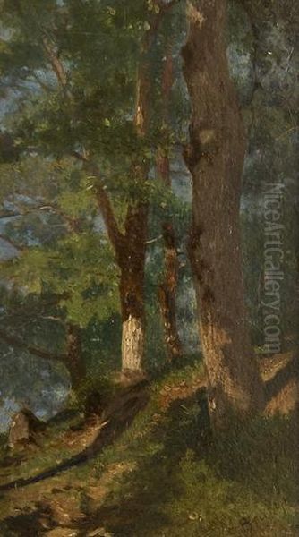 Alberi Nel Bosco Oil Painting by Stefano Bruzzi