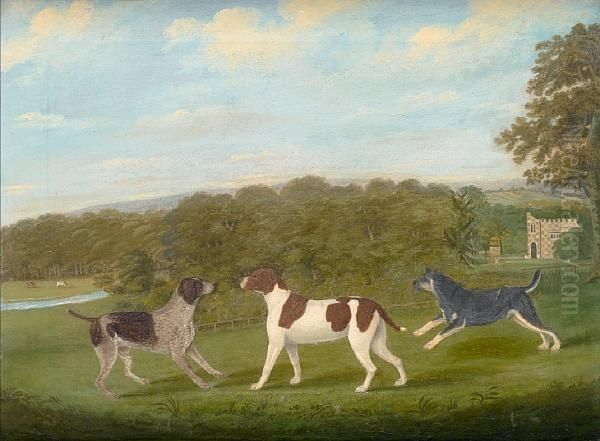 Three Hounds In A Wooded Landscape Oil Painting by I. Bryan