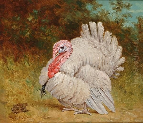 A Turkey And A Toad Oil Painting by Henry Bryant