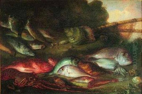 Bodegon De Peces, Langosta Y Caracolas Oil Painting by Agustin Buades Y Muntaner