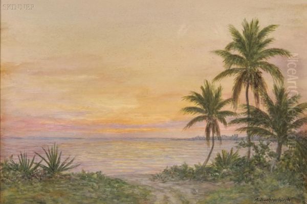 Tropical Sunset, Bahaman Islands Oil Painting by Armin Buchterkirch