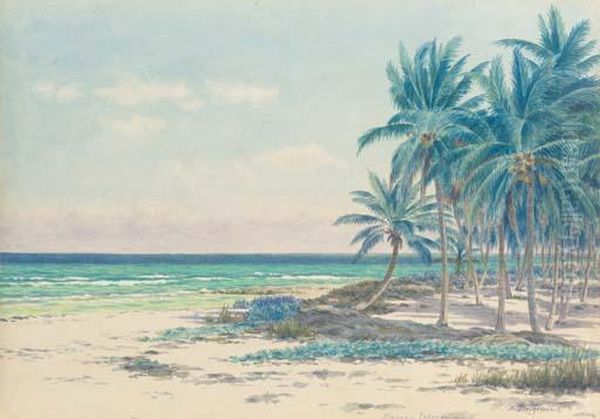 Bahama Islands Oil Painting by Armin Buchterkirch