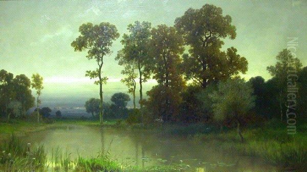 Romantische Seelandschaft Im Abendlicht Mit Enten Oil Painting by Peter Bucken