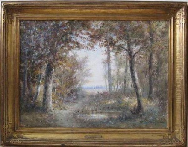 Autumn Sunshine Through Forest Oil Painting by William Savery Bucklin