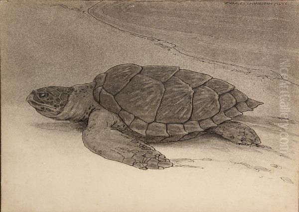 Turtle On The Shore Oil Painting by Charles Livingston Bull