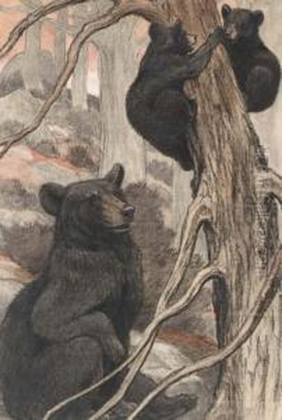 Black Bear And Cubs Climbing And Playing On A Tree Oil Painting by Charles Livingston Bull