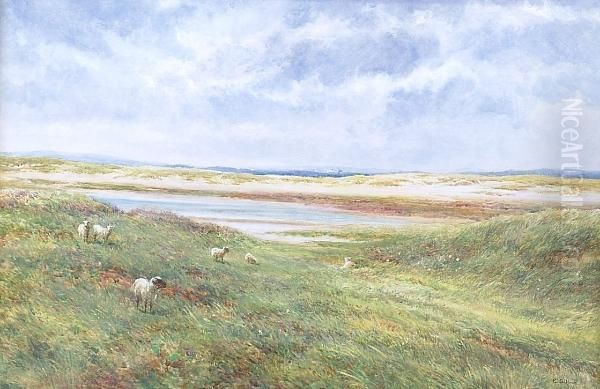 An Anglesey Common Oil Painting by Edith Bullock