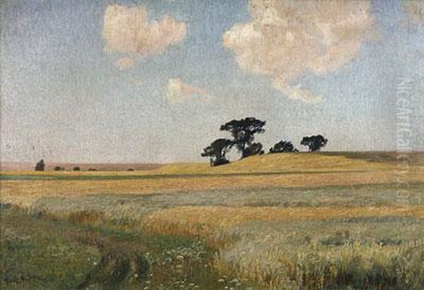 Sommerlandschaft Bei Schwaan Oil Painting by Franz Bunke