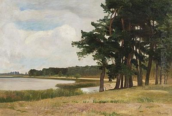 Kiefern Am See. Oil Painting by Franz Bunke