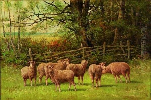 Sheep And Ram In A Pasture by Edward E. Burrill