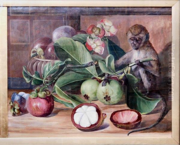 Flowers and Fruit of the Mangosteen, and a Singapore Monkey Oil Painting by Marianne North