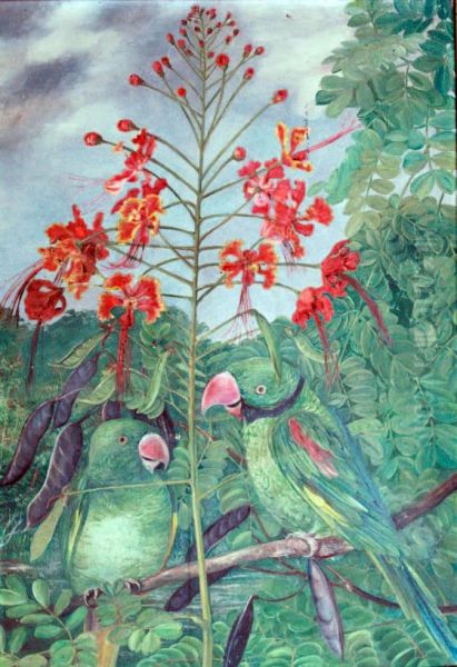 Seychelles Parakeets Oil Painting by Marianne North