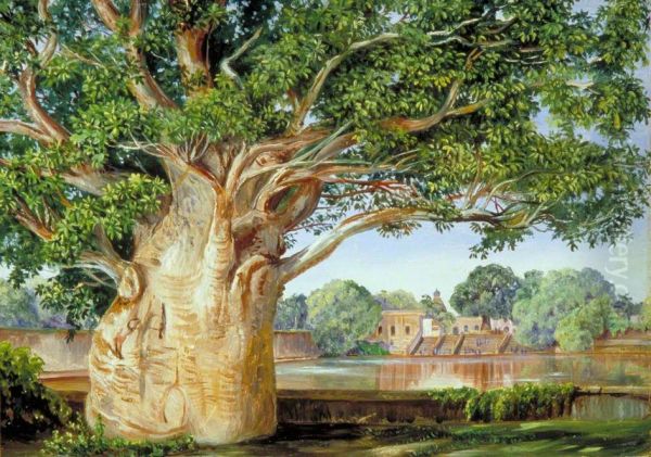 African Baobab Tree in the Princess's Garden at Tanjore, India Oil Painting by Marianne North