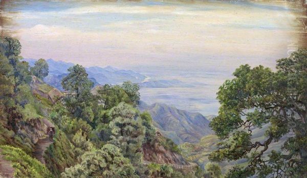 Doon from Mussoorie, Uttar Pradesh, India Oil Painting by Marianne North