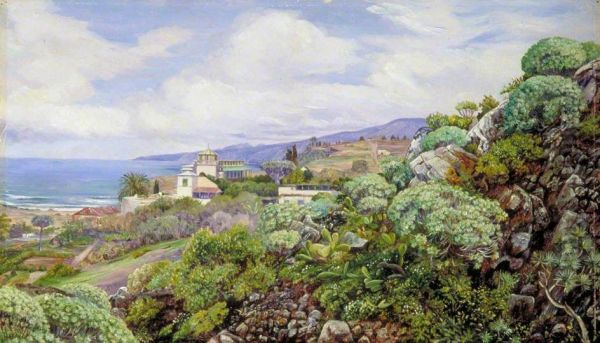 View of Sitio del Pardo, Orotava, Teneriffe Oil Painting by Marianne North