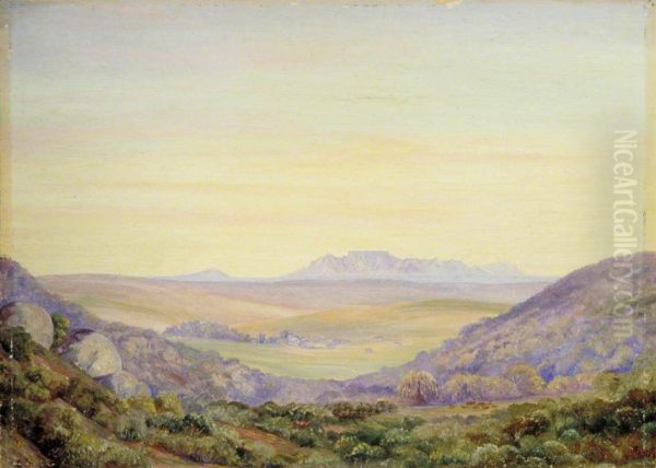 View of Table Mountain Looking from Groot Post Oil Painting by Marianne North