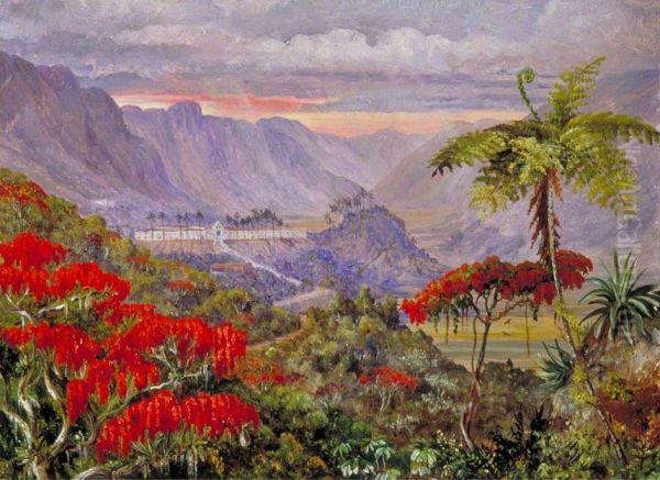 View of the Jesuit College of Caracas, Minas Geraes, Brazil Oil Painting by Marianne North