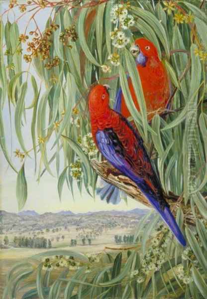 View from Collaroy, New South Wales, Looking towards the Liverpool Downs Oil Painting by Marianne North