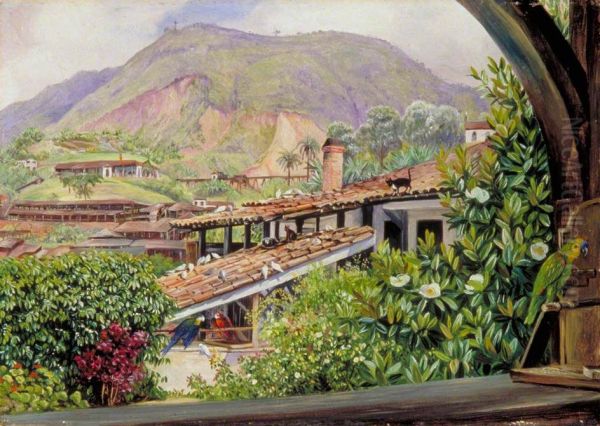 View of the Old Gold Works from the Verandah at Morro Velho, Brazil Oil Painting by Marianne North