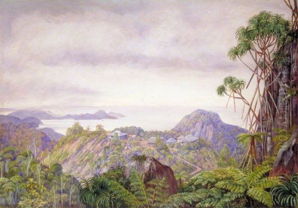 View of the South Coast of Mahe and Schools of Venn's Town, Seychelles Oil Painting by Marianne North