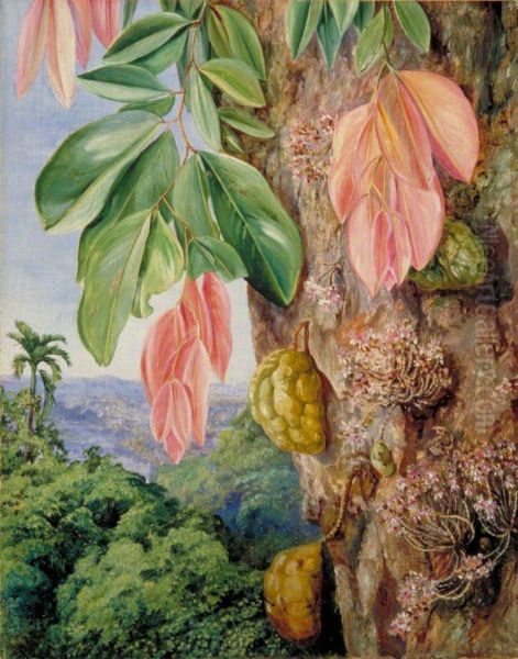 View in Singapore with Nyum-Nyum Tree Oil Painting by Marianne North