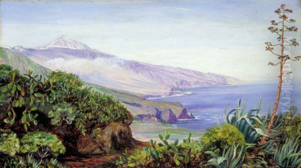 View of the Peak of Teneriffe Oil Painting by Marianne North