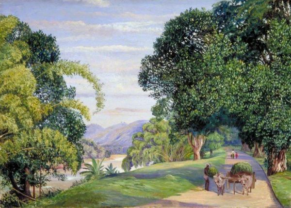 View at Peradeniya, Ceylon Oil Painting by Marianne North