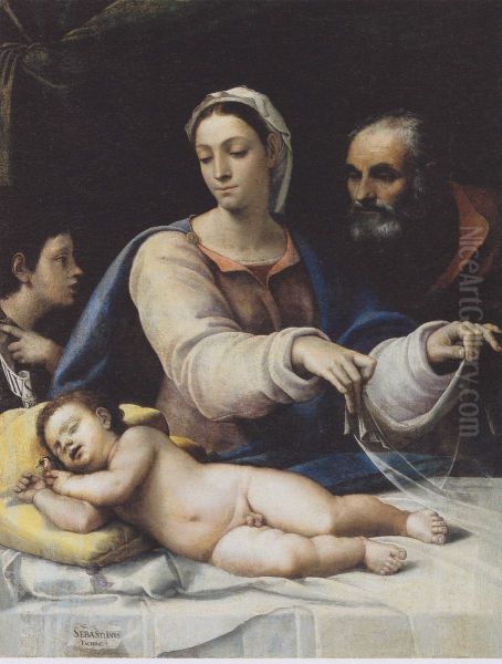 Die Madonna mit dem Schleier Oil Painting by Sebastiano Del Piombo