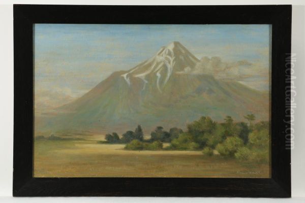 Untitled (Mount Egmont) Oil Painting by Vivian Smith