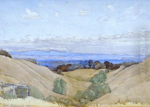 From Havelock North Oil Painting by Dorothy Kate Richmond