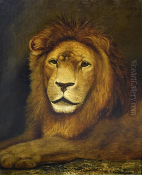 Recumbent Lion Oil Painting by Ben Austrian