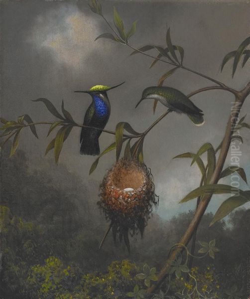 Black-breasted Plovercrest Oil Painting by Martin Johnson Heade